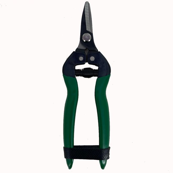 Ψαλίδι Τρύγου Κυρτής Λεπίδας